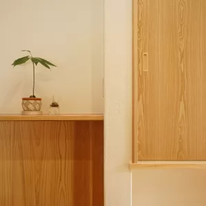 夏に涼しい住まいづくりについて【湿度調整編・１】のサムネイル