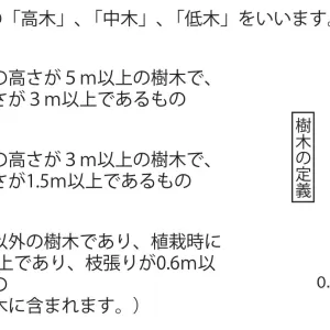 庭に植える木のサムネイル