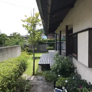 本物に触れるのサムネイル
