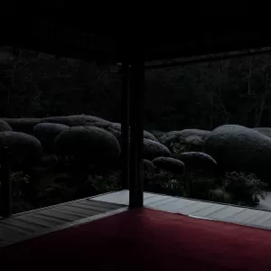 仄暗さって心地よいのサムネイル