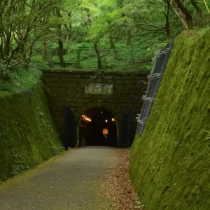 苔から石へのサムネイル