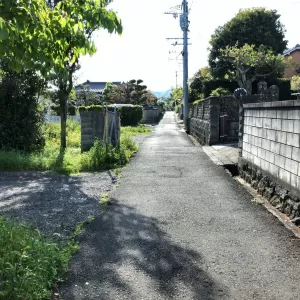 旧道の心地よさのサムネイル