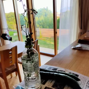 挿し木（挿し芽）のサムネイル