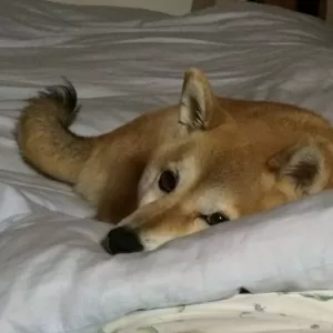 生きるように、造るのサムネイル