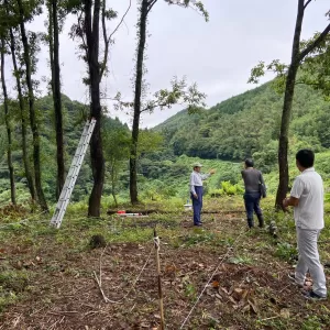 大きなクヌギの木の丘で。のサムネイル