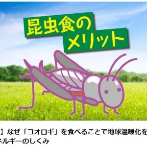 棚一枚とてのサムネイル