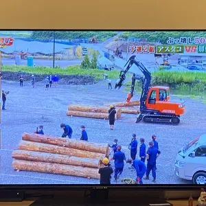 What a Humanのサムネイル