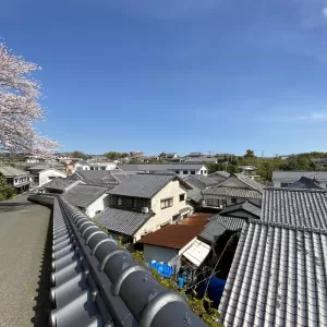 甍のサムネイル