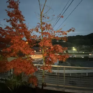 樹脂サッシの悩ましいところのサムネイル