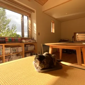 住まいづくりに携わるということのサムネイル