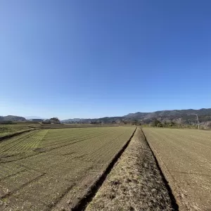 ご自宅でお打ち合わせのサムネイル