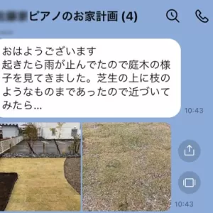小さな命が生きる庭のサムネイル