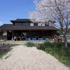お花見のおさらいのサムネイル