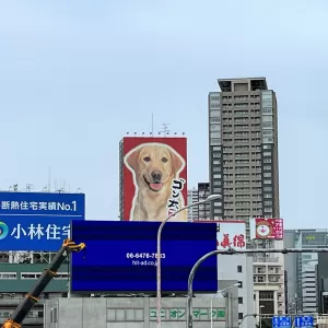 大阪でお勉強①のサムネイル