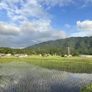 お散歩のサムネイル