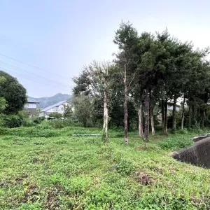 「田舎に建てる」はムズカシイのサムネイル