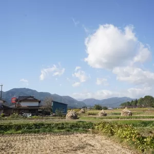 田舎で土地を探すための第一歩のサムネイル