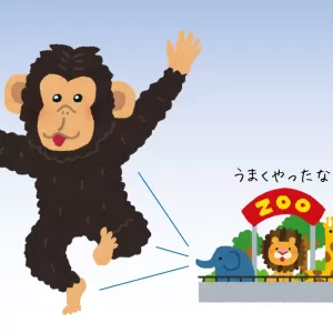 最近の網戸事情のサムネイル