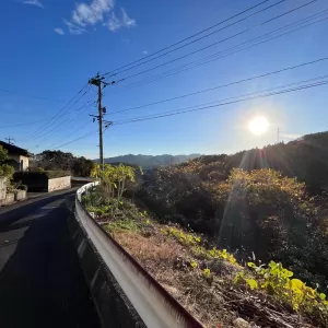 土地を見ていなくても・・・のサムネイル