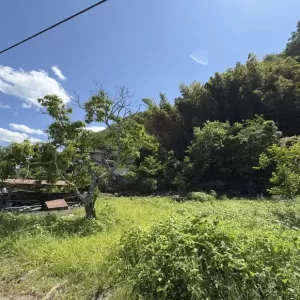 南へ東へ②のサムネイル